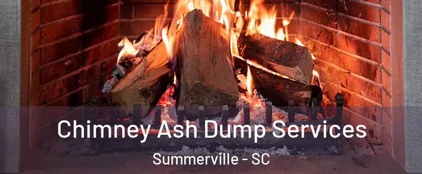  Chimney Ash Dump Services Summerville - SC