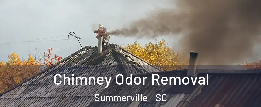  Chimney Odor Removal Summerville - SC