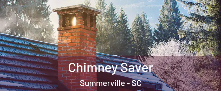  Chimney Saver Summerville - SC