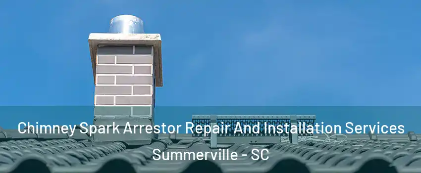  Chimney Spark Arrestor Repair And Installation Services Summerville - SC