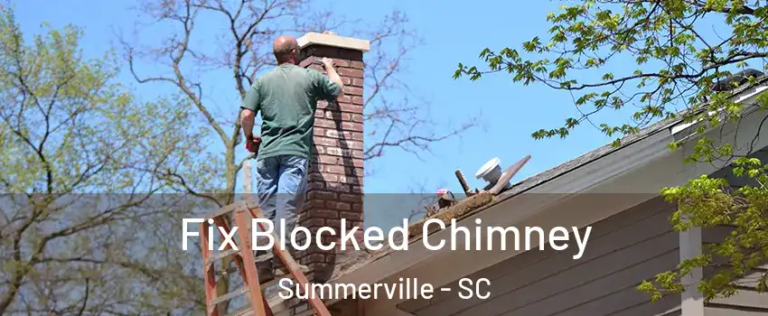  Fix Blocked Chimney Summerville - SC