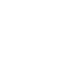 Professional Chimney Flue Installation in Summerville, South Carolina