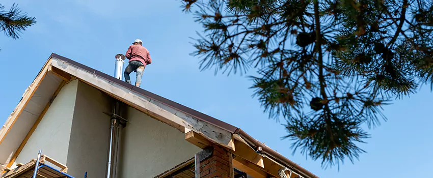 Birds Removal Contractors from Chimney in Summerville, SC